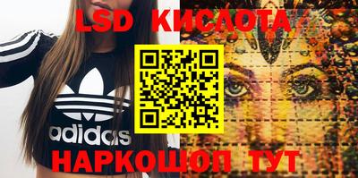 прущие грибы Железногорск