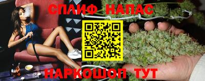 прущие грибы Железногорск