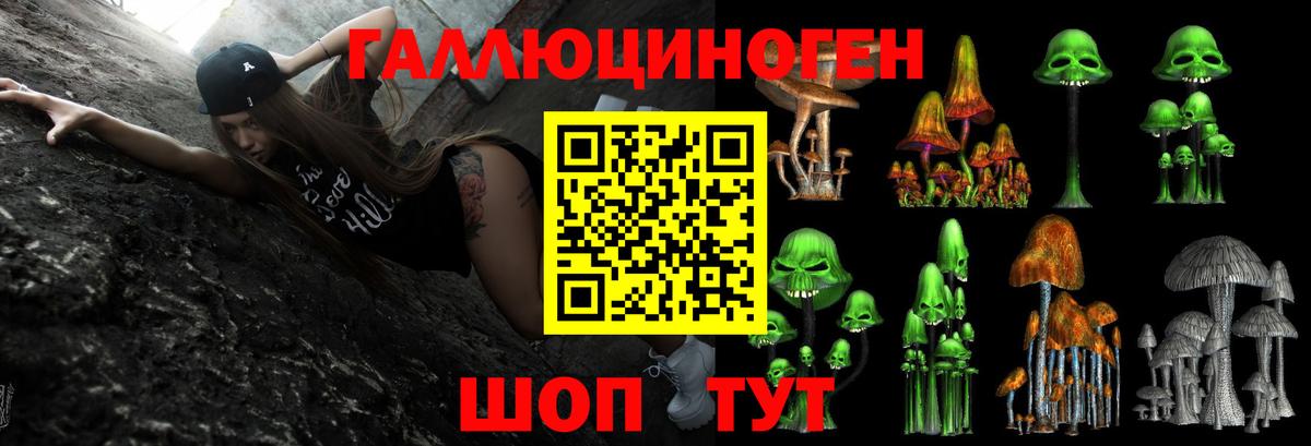 Псилоцибиновые грибы GOLDEN TEACHER Гудермес