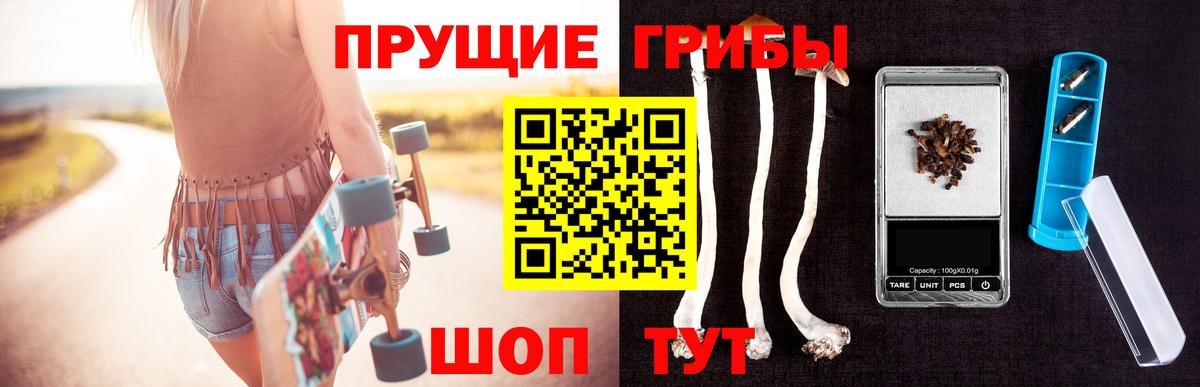Псилоцибиновые грибы Psilocybine cubensis  Вход с VPN  Гудермес  Галлюциногенные грибы GOLDEN TEACHER 